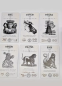 Preview: Tarot Preview: Tarot